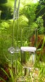 Difusor Co2 em vidro - 4.90€